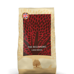 Essential The Beginning - Large Breed 10 kg